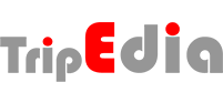 AI solution TripEdia for HOTEL